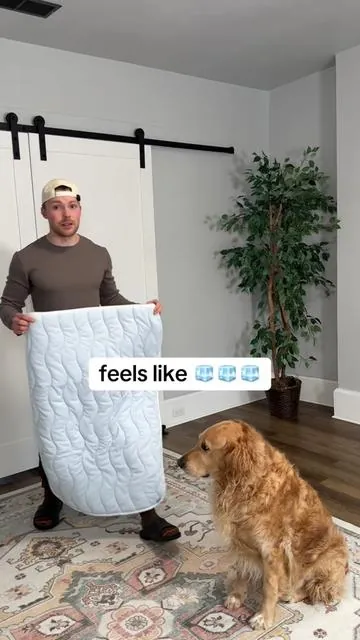 wait these cooling mats actually feel COLD  #dogcoolingmat #dogbed #dogaccessories #tiktokshopspringglowup #tiktokshopcreatorpicks 