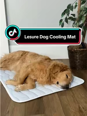 this dog cooling mat has become our new favorite thing 🥶 #dogcoolingmat #dogbed #tiktokshopspringglowup #tiktokshopcreatorpicks #dogaccessories 
