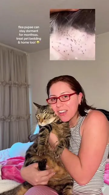 how to prevent your home & pets from being infested with fleas! 