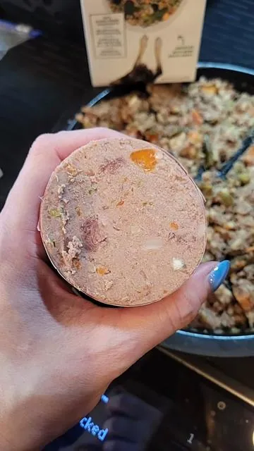 Happy Howl Dog Food #happyhowl #dogsoftiktok #dogfood #dogtok 