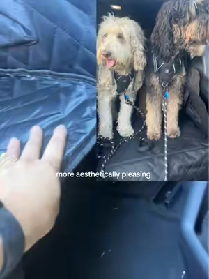 Clean look & clean car #dogseatcover #petproducts  #backseatextenderfordogs #autoaccessories @Valuxe.us 