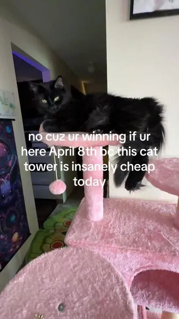 7626058741091257630