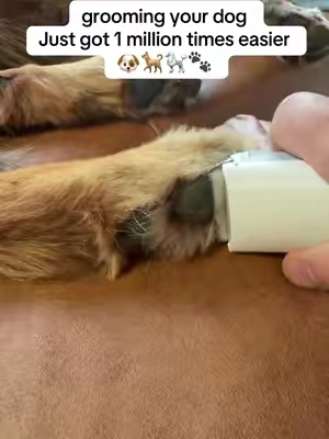 groomer alternative, no mess, more affordable and less anxiety for my dog. Win win win win!!!   #petgrooming #doggrooming #petvacuum #doghair #TikTokShopCreatorPicks 