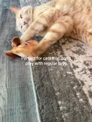Interactive cat toy for indoor cats that need more mental stimulation and exercise. If your cat gets bored easily or ignores most toys, this rechargeable moving toy keeps them engaged without you having to constantly play. Great for solo play or bonding time. Comes in a 2 pack so you always have one ready. Tap the cart to see if there are any coupons available. #tiktokshopcreatorpicks #Greenish #Tiktokshopstockup  #tiktokshopmothersday #aprilrestock  