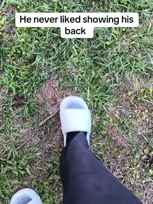 Finally something that worked for him 