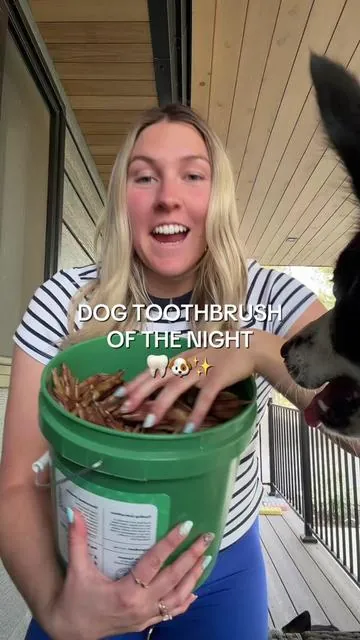 Shocked Zeus didn’t grab 10 😂 Dog teeth cleaning is so important and this is one of the best ways I’ve found to keeping their teeth clean and giving them a treat for the night!  #dogteethcleaning #dogchew #dogmom#dogmusthaves #dogdental 