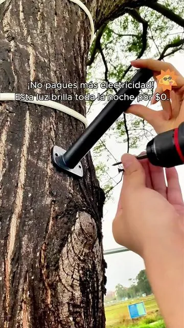 ¡No te pierdas esta lámpara! Está al 50% y con envío gratis.🔥🔥🔥#solarlights #outdoorlighting #Tuffenough #backyard #tiktokmademebuyit  ljf-0409-4-cjt 