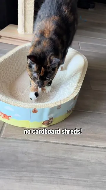 looks cuter too 🥰 #catscratcher #scratcher #cattoys #catbed 