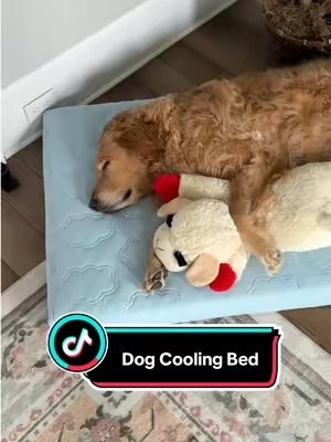 where has thing cooling dog bed been all my dog’s life??? ❤️ #coolingdogmat #dogcoolingmat #dogaccessories #tiktokshopspringglowup #tiktokshopcreatorpicks 