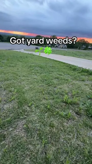 The Andersons Yard Fertilizer With Surge. Tackle them yard weeds.