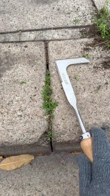 Do you have better tool for this type grass in crevice? #crevicetool#magictools#concretecrevicetool#drivewaycracksgrass