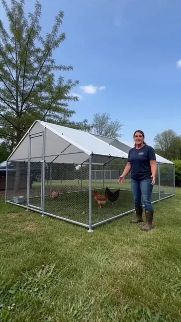 Give your feathered and furry friends the ultimate outdoor space they deserve! 🐔🐰 This large VEVOR Metal Chicken Coop offers plenty of room and a secure walk-in design. It comes with a protective cover and a security lock, keeping your animals safe and sound. Whether it's for chickens, ducks, or rabbits, this durable enclosure is perfect for your backyard or farm. Create a comfortable and safe home for your poultry! ✨ Tap to shop and get yours now. #chickencoop #poultrypen #backyardfarm #animalenclosure #AIGC #Moras
