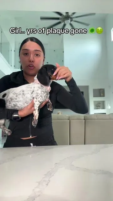 #dogsoftiktok #dogowners #plaque #dogownerproblems 