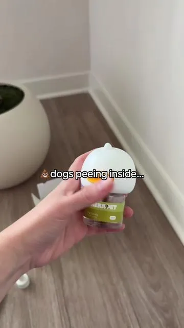 dog calming diffuser kit 🐕 #dogcalmingdiffuser #dogpee #dogdiffuser #dogcalming #baddog 