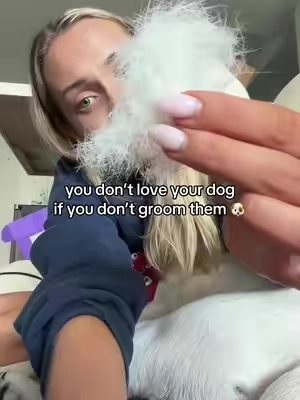 if you love your dog and want to take care of them and make them feel so happy and comfortable this summer you gotta use this brush #sleekezgroomingtool #dogbrush #doggrooming #bullybreeds #dogsofttiktok 