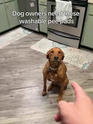#MuddyMat #peepad #puppypad #dogpeepad #tiktokshopstockup