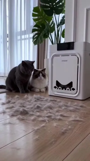 this literally traps pet hair from out of the air,we have two cats!  #PetAirPurifier #PetHairEverywhere  #CatHealth#Summervibes  #Petlovers  