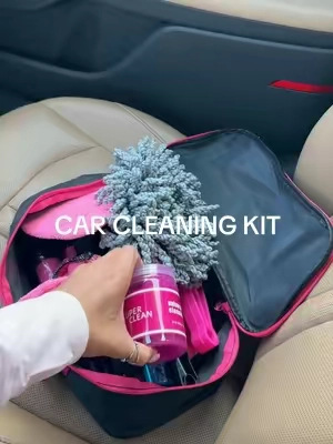 This has become so useful ! It comes in a few different colors as well 🩷 @VIEWSUN #carcleaning #interiorcleaning #caressentialskit 