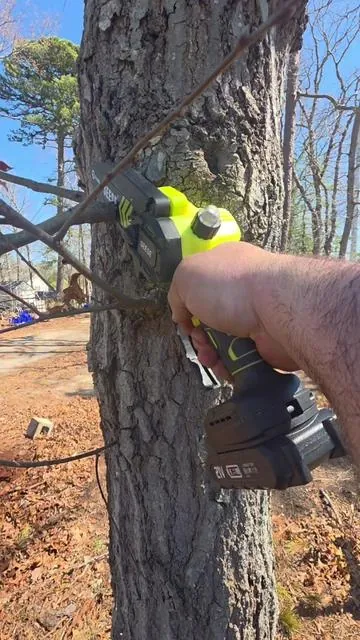 #chainsaw #treework #lumberjack #starterpicks #wood 