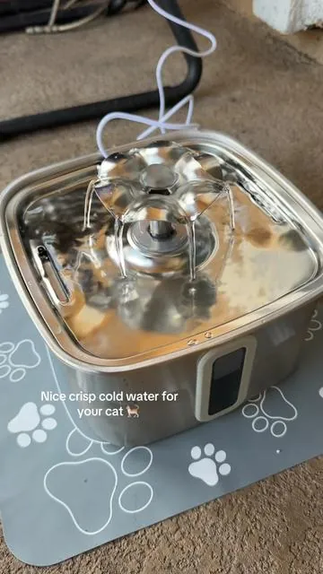 #catwaterfountain #catmusthaves #catowners 