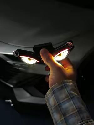 Solar energy supplies the devil's eye#car #carled #led #atmospherelamp #summervibes 