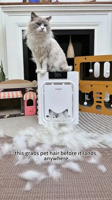 this grabs pet hair before it lands anywhere,Plus, there's a limited-time offer available right now~#FYP #cat #Limitedtimeoffer #SpringGlowUp #Summervibes #Petlovers #Petmonth #purify #Stockupdeals #AirPurifier #cathair