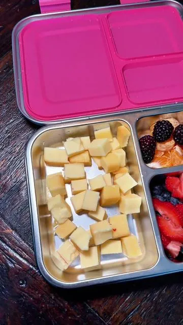 Fruit, cheese, and beef sticks for a beautiful park day ☀️ I love this stainless steel lunchbox, perfect for kiddos, & no glass to worry about.  #stainlesssteel #nontoxic #bentobox #noplastic #kidssnack  