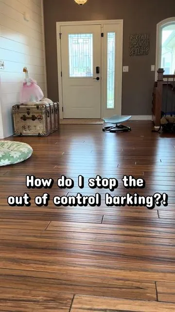 I NEED the barking to stop. First time trying this and it got their attention quick! #dogtraining #GSP #BARKING #nomore #pittiesoftiktok
