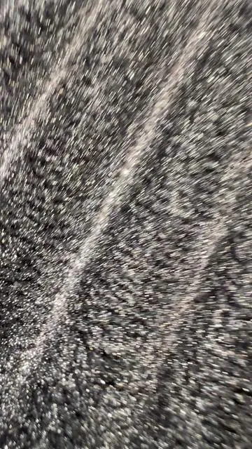 🦞🦞🦞🦞