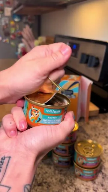 #catfood #catsoftiktok #catmom #cats #foryou 