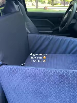 #dogcarseat #dogboosterseat #petsafety #dogcarbed @Valuxe for pets @Valuxe.us 