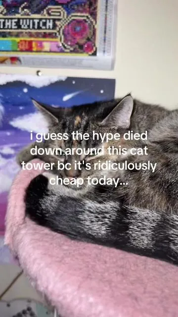 7636747686665915679