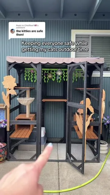 Replying to @ChiefBeef 🇺🇲 only the best for our cats 🐾💞 @Aivituvin @aivituvincatio #summervibes #tiktokshopstockup #catio #catmom #cattok 