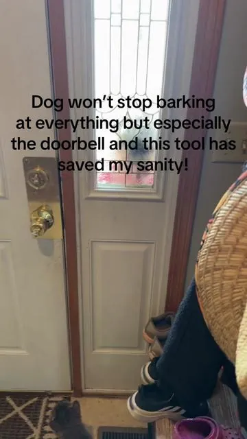 I cannot go a day without using this tool. I even use it with my neighbor’s dog on the other side of the fence! #dogtraining #antibarkingdevice #dogmom #dogmusthaves #tiktokshopdogfinds 