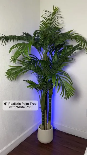 Realistic is the main quality I look for when buying a fake tree because I don’t want it to look fake lol. I’ve compared many sellers, and this particular one is by far the best for my liking. Check it out for yourself.. you won’t be disappointed. It instantly made my room feel more put together. #lanailtech #ugccreator #fakeplants #palmtrees #astetic 