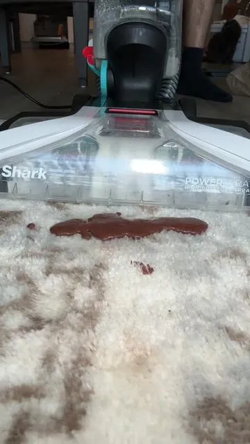 What’s inside your carpet or upholstery? 🤔 #sharkcarpetxpert 