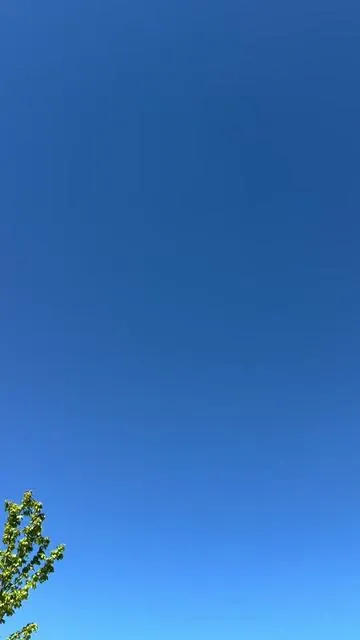 7638276350377348365