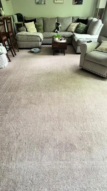 I will never have to vacuum again 🥹 #robotvacuum #vacuum #cleaning #sharkiqrobot 
