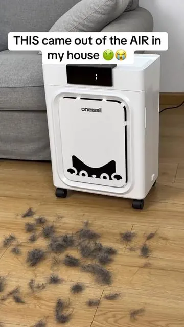 I thought my house was clean until I saw how much dog hair this Oneisall air purifier was actually pulling out of the air 😳 this double-sided pet air purifier is literally grabbing hair off the floor AND cleaning the air at the same time… it auto adjusts when it senses more in the air, covers up to 2200 sq ft, and the filters last 9 months (and you can wash them 🙃)   #petairpurifier #pethaireverywhere #doghair #petlovers Disclaimer: prices, sales, coupons, discounts are accurate at the time this video is posted and may very afterwards as the seller and TikTok me regularly change their limited time promotions. check the product paid for the most current price. free shipping, sale prices, and Tiktok coupons may vary by account. whatever items and quantities are in your cart at checkout is exactly what you will receive. oneisall air purifiers for home pets, 3-in-1 Washable HEPA Filter, Dual-Sided Filter with 200g Activated Carbon, Pet-Friendly Design – Pet Lock, Allergen Relief & Odor Removal Summervibes Petlovers