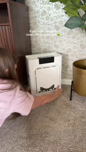 My entire living room and kitchen smells so fresh 🤌🏻  #sharkhome #sharkairpurifier #sharkcleansense #sharkcleansenseairpurifier #airpurifier 
