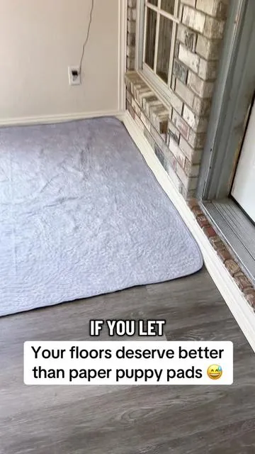 Nobody talks about how expensive disposable puppy pads get until you add it up for a whole year 😳 That’s why the Improvia washable puppy pads blew up. These are waterproof, reusable, machine washable, and actually stay put while protecting your floors from accidents, muddy paws, shedding, food spills, and pet messes. The giant 72x72 size is perfect for puppies, senior dogs, whelping areas, rabbits, playpens, crates, or even under food bowls. One wash and it’s ready to go again instead of constantly buying packs over and over. The big sizes always disappear fast once people start summer potty training and traveling with pets #DealsForYouDays #SummerVibes #tiktokshopmemorialday #dog #dogsoftiktok 