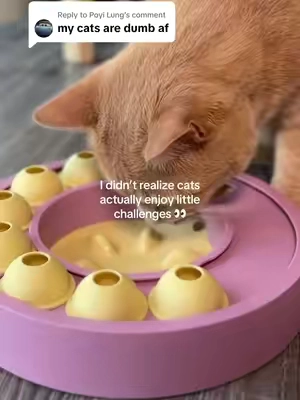 Replying to @Poyi Lung I didn’t realize how important mental stimulation during mealtime was until I tried this 👀🐱Cats aren’t meant to just eat and go right back to sleep… they actually need enrichment and little challenges throughout the day too.This slow feeder turns mealtime into a fun puzzle, which helps slow them down, keeps them mentally engaged, and prevents them from finishing their food in seconds.We’ve tested a few feeders and one thing I really like about this one is that the bottom has a grippy, non-slip design so it doesn’t slide all over the floor while they eat.Such a simple switch, but honestly great for indoor cats, mental stimulation, and little “brain training” moments during the day 🐾 #tiktokshopcreatorpicks #tiktokshopmemorialday #summerwins #summervibes #petlovers #dealsforyoudays 
#catsoftiktok  