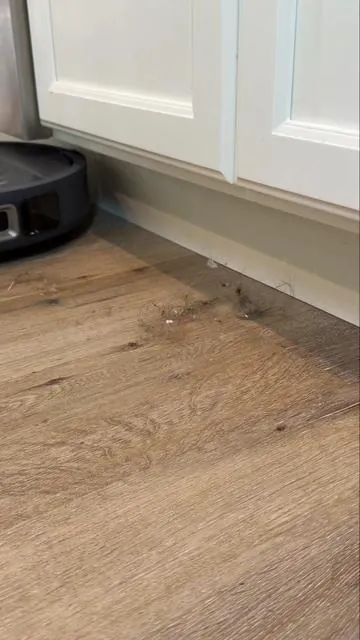 ughhh🫠 #vacuum #robotvaccuum #sharkvacuum #vacuumcleaner #CleanTok 