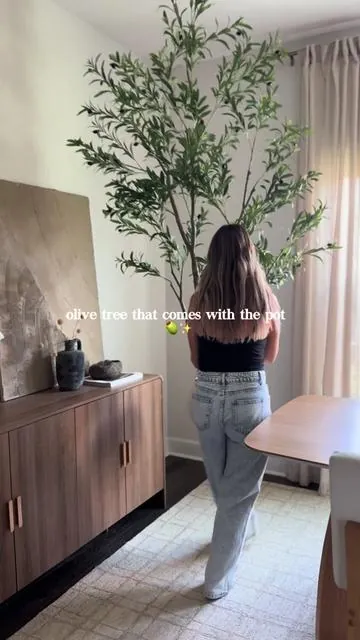 olive tree that comes with the pot & moss 🫒✨sign my up  #diningroomdecor #livingroominspo #bedroomdecor #cozybedroom #cozyhome 