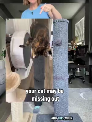 Love a cat item with multiple purposes! #Summervibes #petlovers #catscratcher #scratcher #catfurniture 