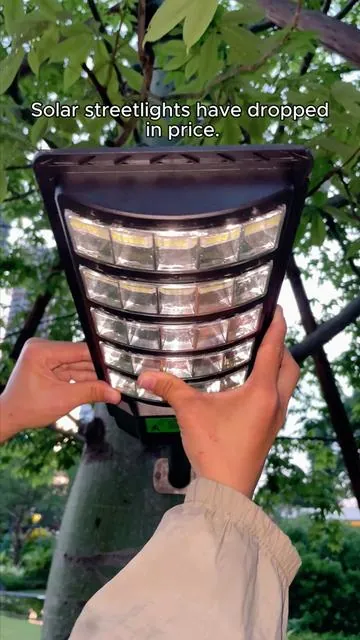 Lights up automatically at night—no more fear of the dark#solarlight #solarpower #ledlights  #Summervibes ljf-0522–1-lqw