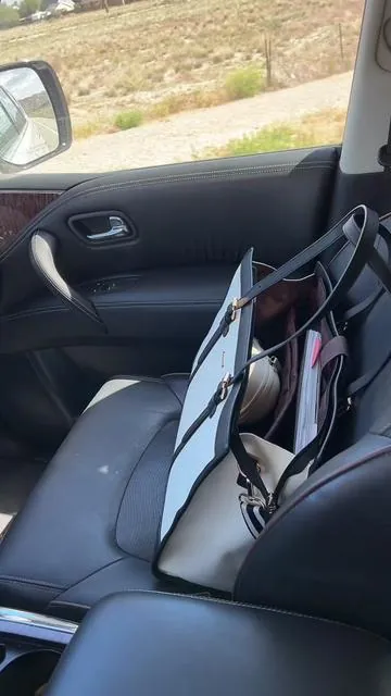 #tiktokshop #honestreview #car #bags 