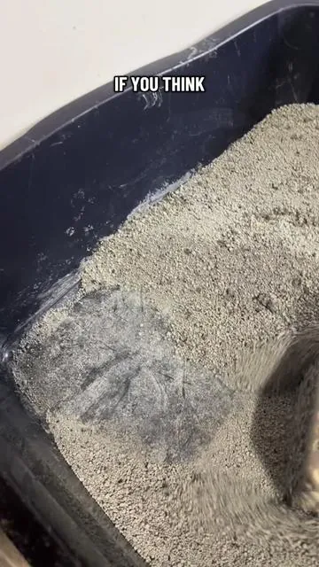 Plastic traps odor and bacteria over time. Stainless steel doesn’t. It rinses clean fast, doesn’t stain, and actually stays fresh. If your litter box never really feels clean, this is probably why. #litterbox #litterboxsolution #petodor #tiktokshopmemorialday #SummerVibes 