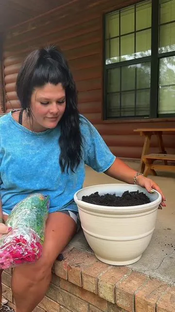 Only plant I can keep alive #flowers #diy #homeimprovement #howto #CapCut 