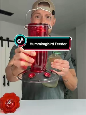 this is one of the best hummingbird feeders i’ve ever used 😳 #hummingbirdfeeder #birds #birdfeeder #petlovers #tiktokshopmemorialday 